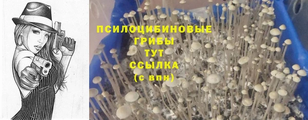 хмурый Абинск